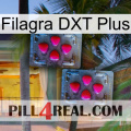 Filagra DXT Plus 14